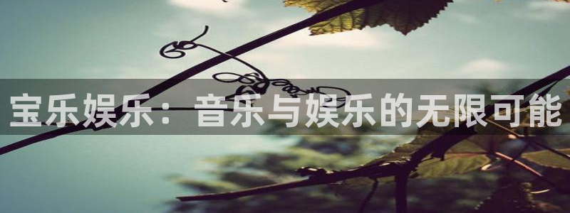 赢咖官网入口地址：宝乐娱乐：音乐与娱乐的无限可能