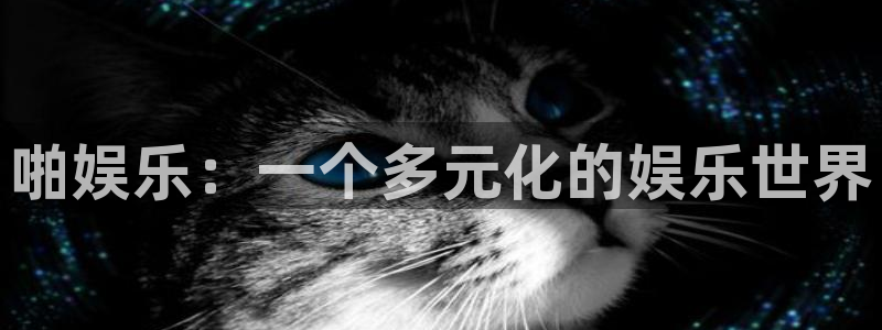 赢咖集团：啪娱乐：一个多元化的娱乐世界