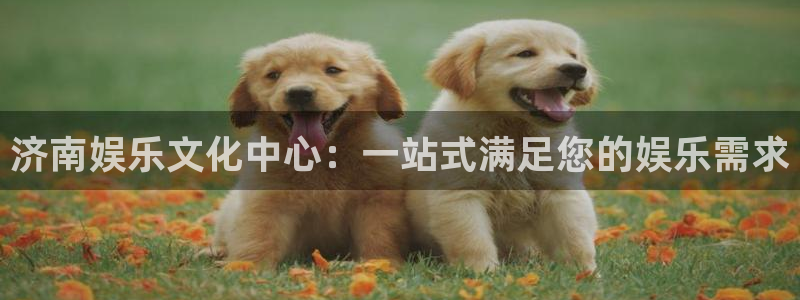 赢咖2平台登录：济南娱乐文化中心：一站式满足您的娱乐需求