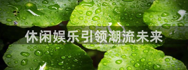 赢咖3官网平台：休闲娱乐引领潮流未来