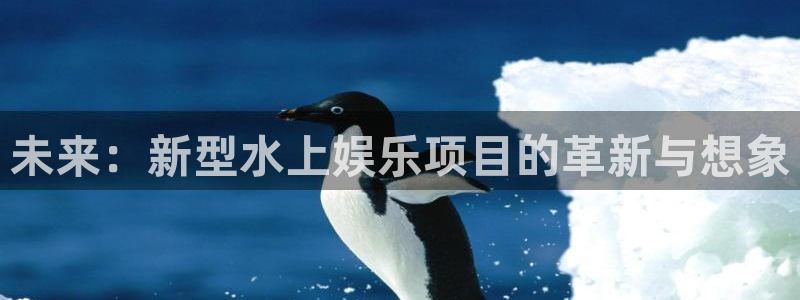 赢咖ⅱ平台：未来：新型水上娱乐项目的革新与想象