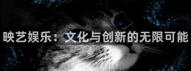 赢咖二app下载：映艺娱乐：文化与创新的无限可能