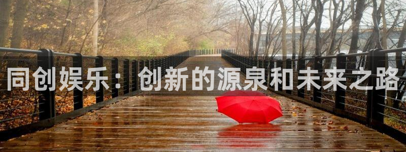 赢咖2平台：同创娱乐：创新的源泉和未来之路