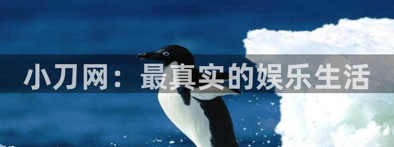 赢咖app下载：小刀网：最真实的娱乐生活